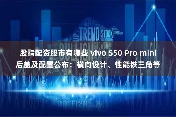 股指配资股市有哪些 vivo S50 Pro mini后盖及配置公布：横向设计、性能铁三角等